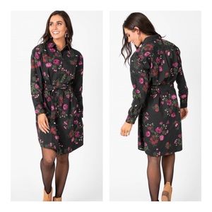 agnes and dora denim shirt dress